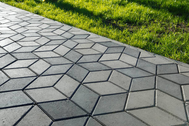 Best Affordable Driveway Paving  in Le Center, MN